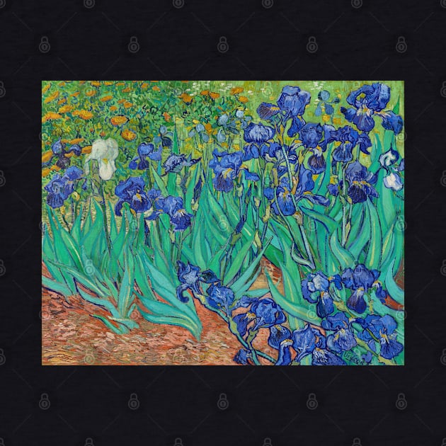 Irises by fleurdesignart